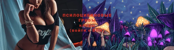 ECSTASY Абаза