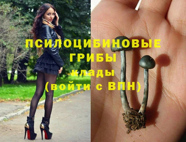 ECSTASY Абаза