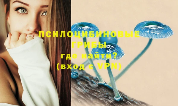 mix Абинск